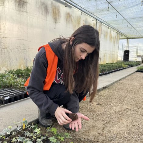 Palmstead Nursery People