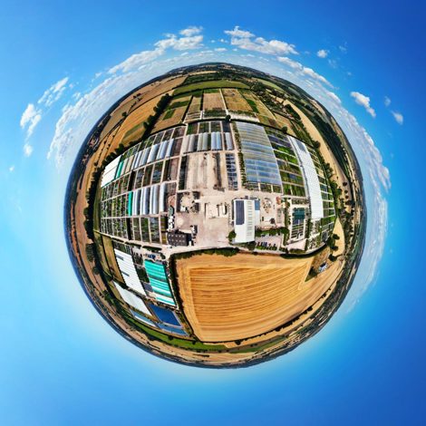 Palmstead Nursery Planet