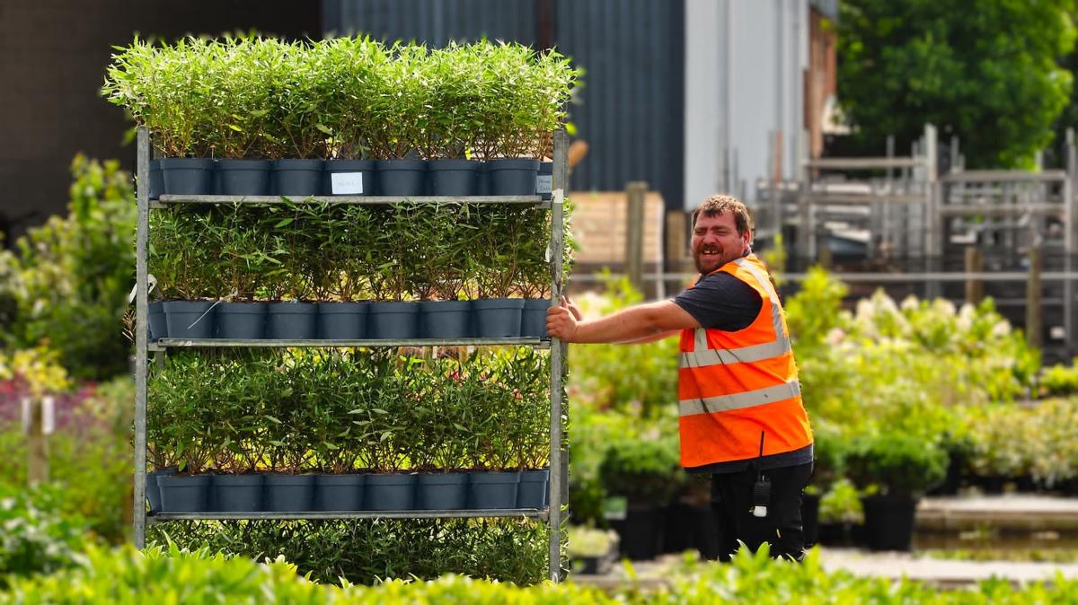 Palmstead Nursery People
