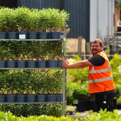 Palmstead Nursery People
