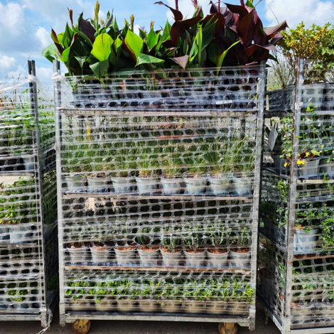 Palmstead Nursery Shop